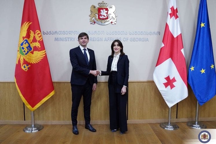 Azemović se sastao sa šeficom diplomatije Gruzije