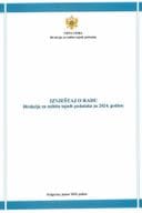 Izvjestaj  o radu za 2024. godinu