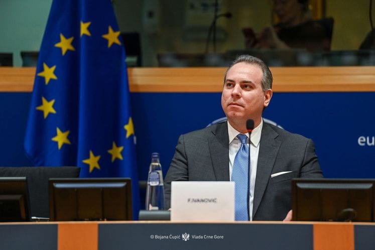 Filip Ivanović pred poslanicima spoljnopolitičkog odbora Evropskog parlamenta (AFET)