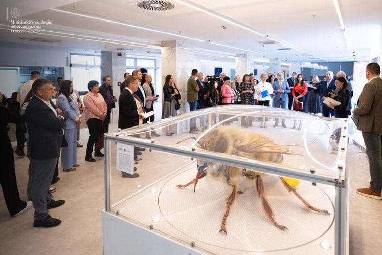 Ćulafić: Aktivno raditi na kreiranju politika koje će očuvati oprašivače kroz podršku održivim praksama pčelarenja