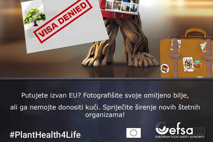 Treća godina programa #PlantHealth4Life 