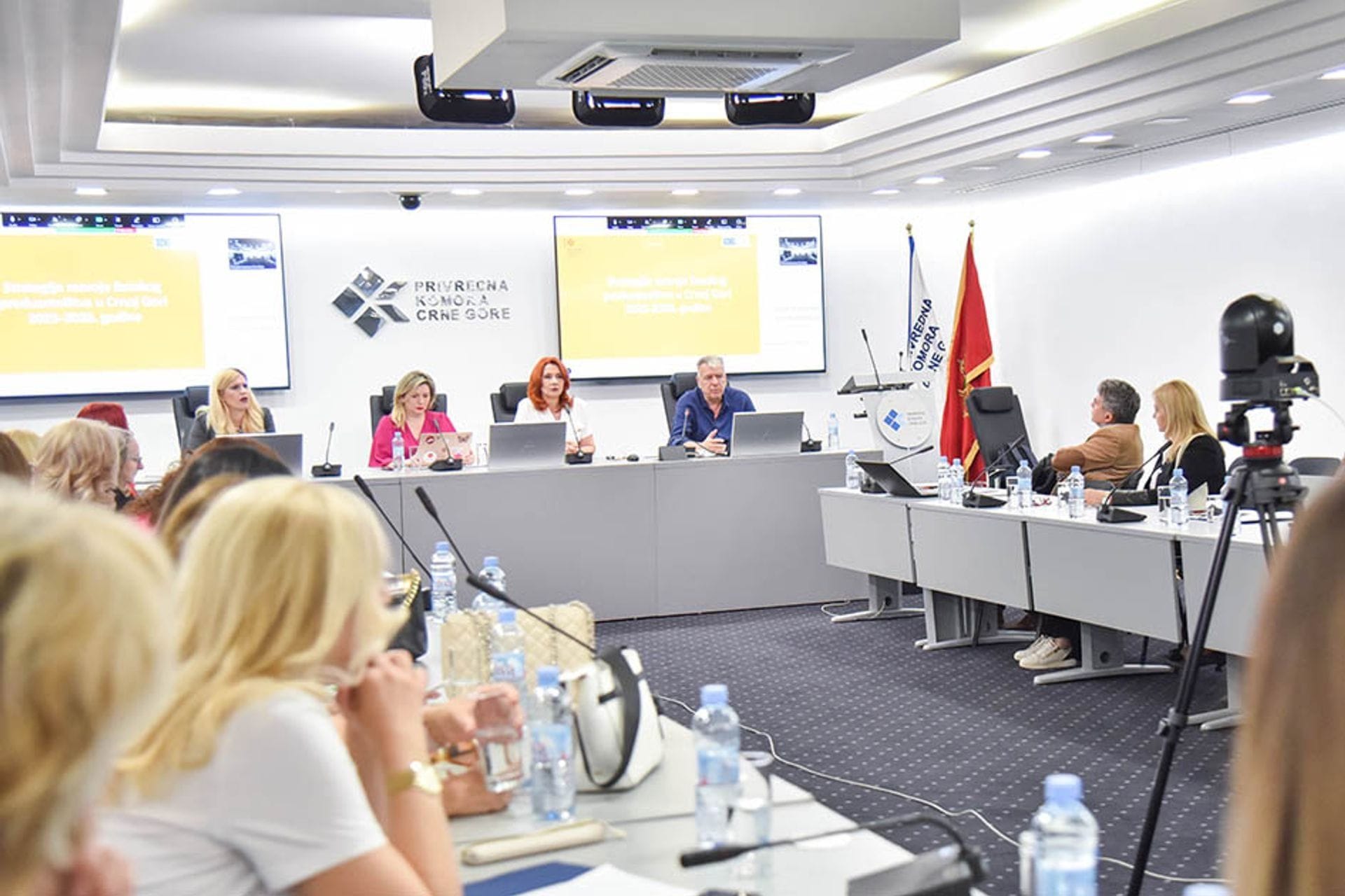 strategija razvoja ženskog preduzetništva