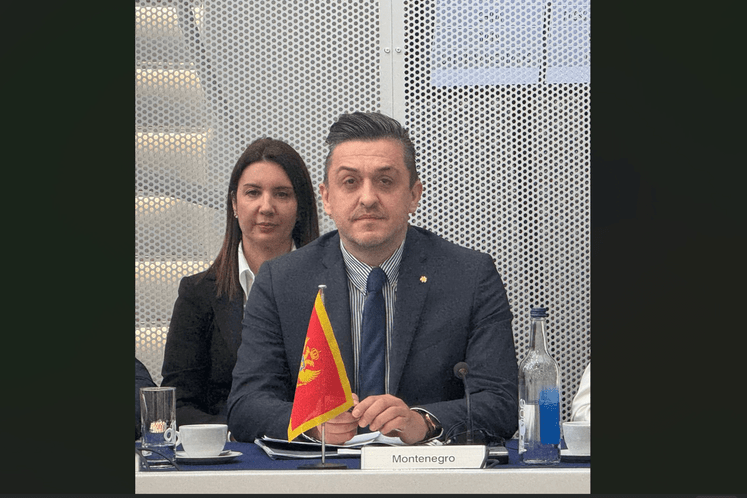 ministar vuković london