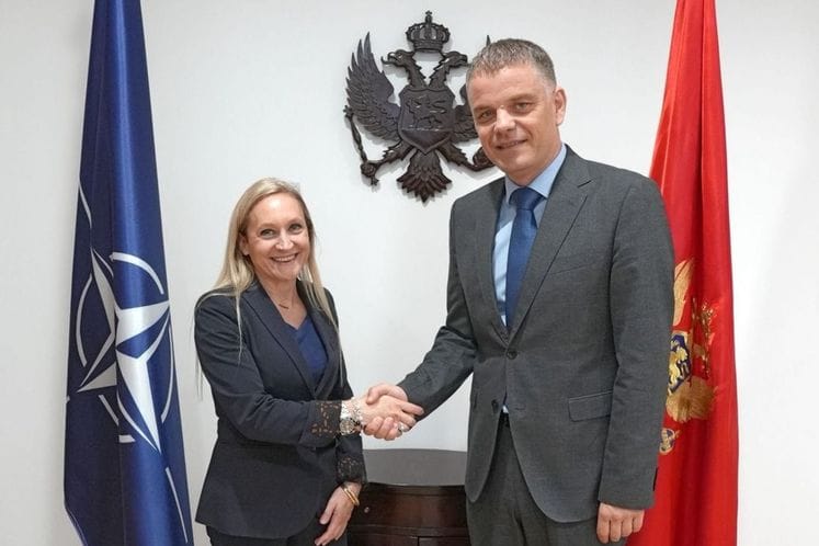 Acting Director of National Security Agency meets with Italian Ambassador