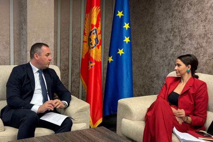 Šćekić i Adžović