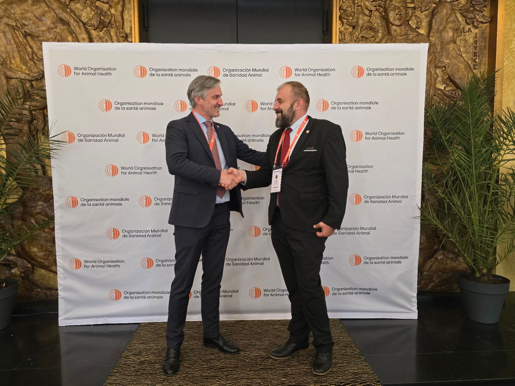 gallery.media[0].alt