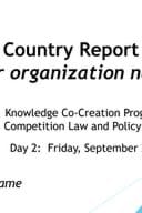 Аннеx_ЦоунтрyРепорт_202411473Ј001