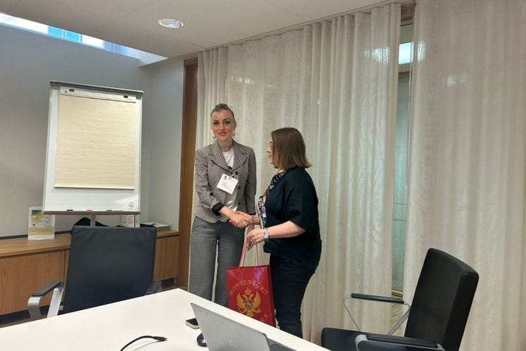 jovana nisavic finska