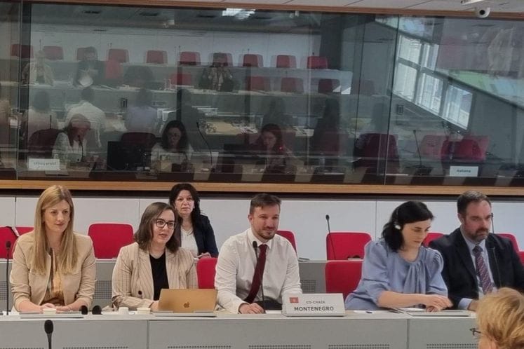 Održan 16. sastanak sa EU o integracijama: CG ostvarila napredak u socijalnoj politici