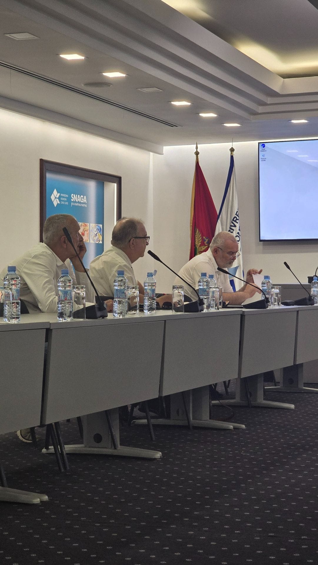 gallery.media[0].alt