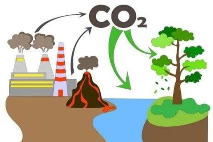 Sprovedena prva faza programa obuka
za jačanje kapaciteta u oblasti klimatskih promjena