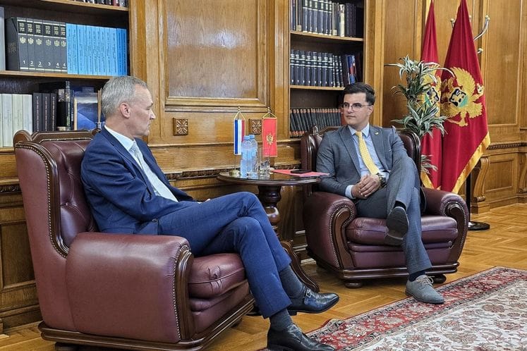 Šaranović-Elgersma