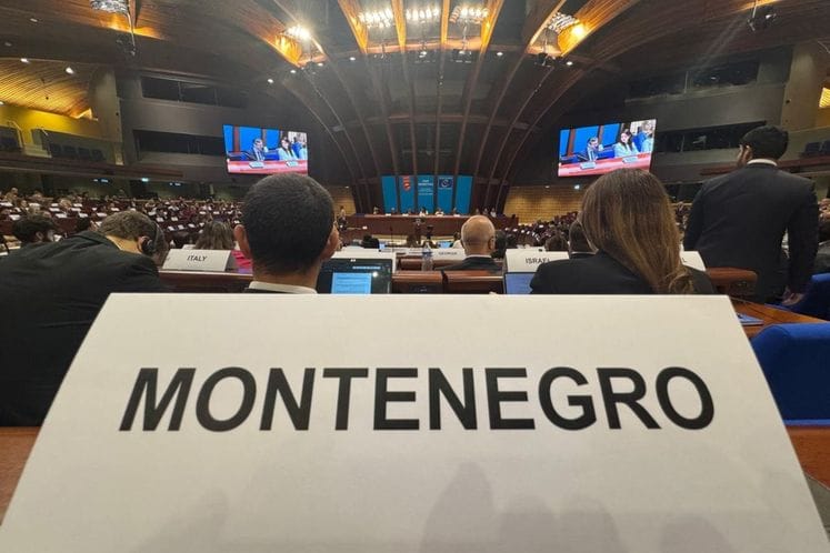 Crnogorska delegacija učestovala u 69. Plenarnoj sjednici Manivala