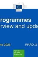 Пресентатион ДЕУ