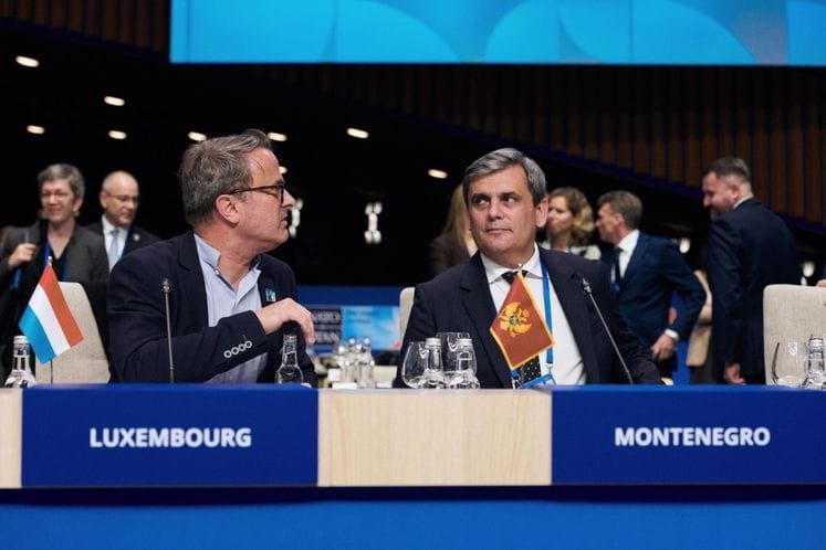 Ibrahimović at NATO Summit