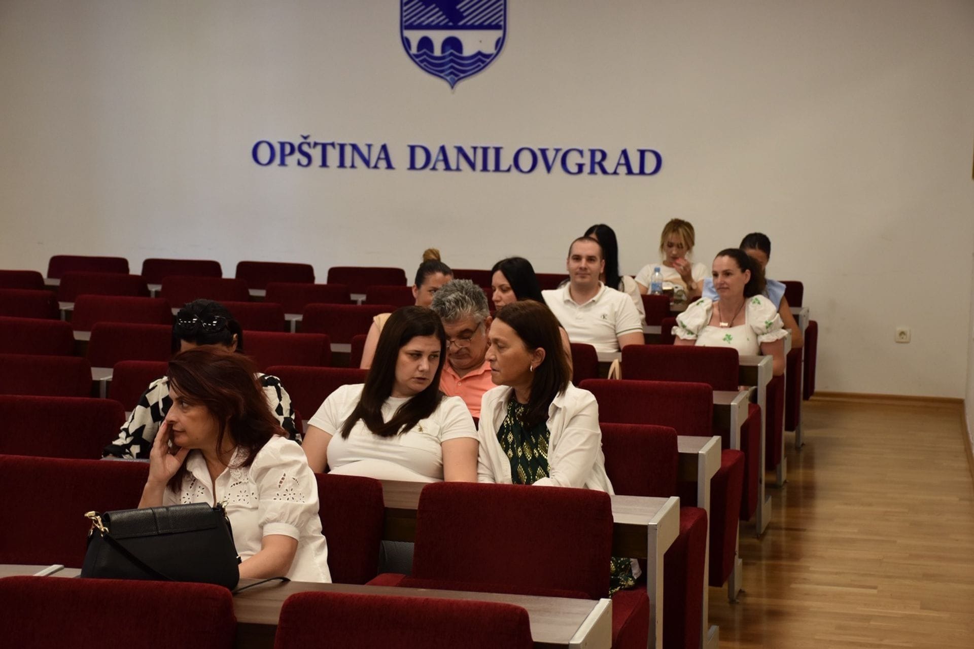 U Danilovgradu održana Javna rasprava o Nacrtu zakona o saradnji Crne Gore sa dijasporom – iseljenicima