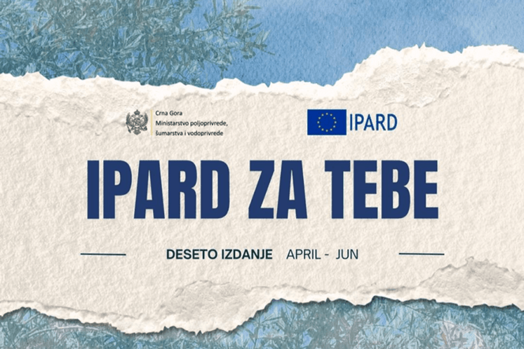 Десето издање билтена
