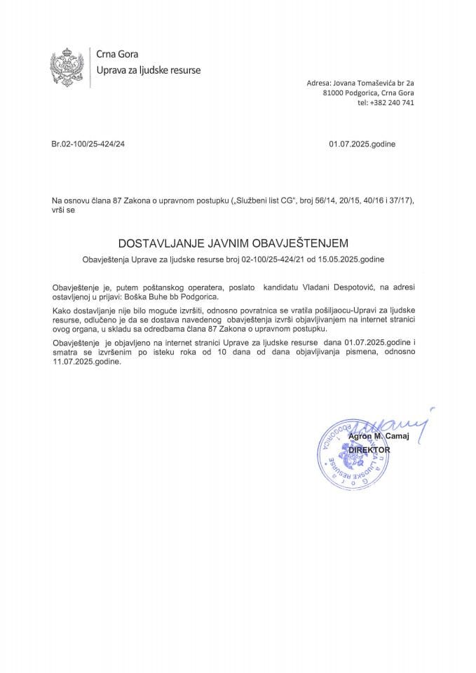 Vladana Despotović, 424