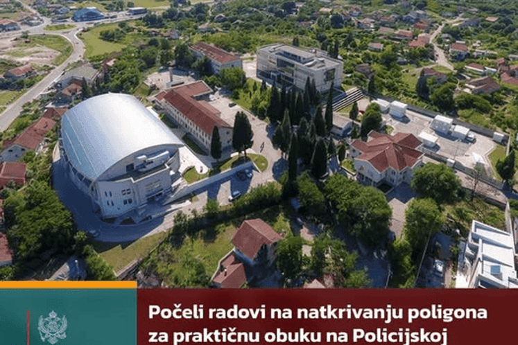 полицијска