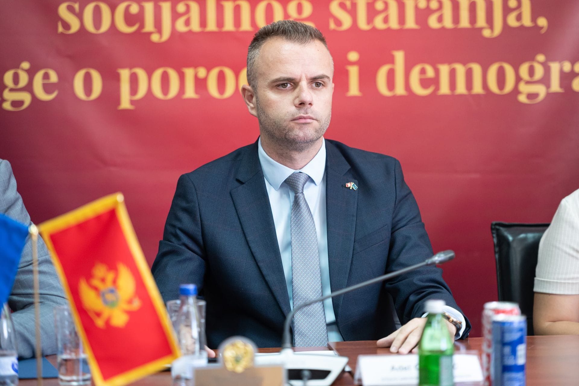 Omeragić govorio na panelu o ulozi dijaspore i politici povratka iseljenika