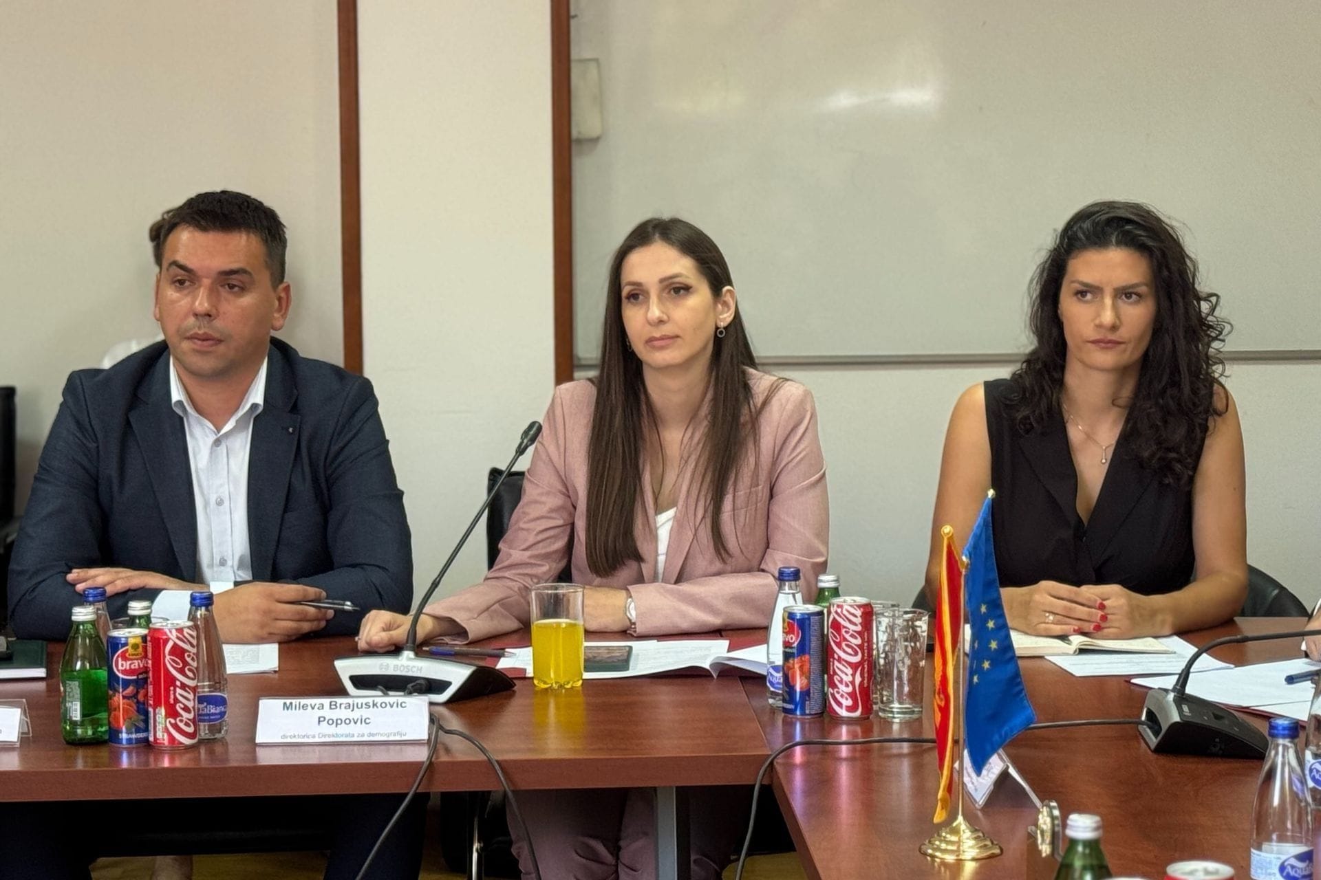 Demografska budućnost Crne Gore: Stručnjaci i donosioci odluka saglasni – potrebna hitna i zajednička akcija