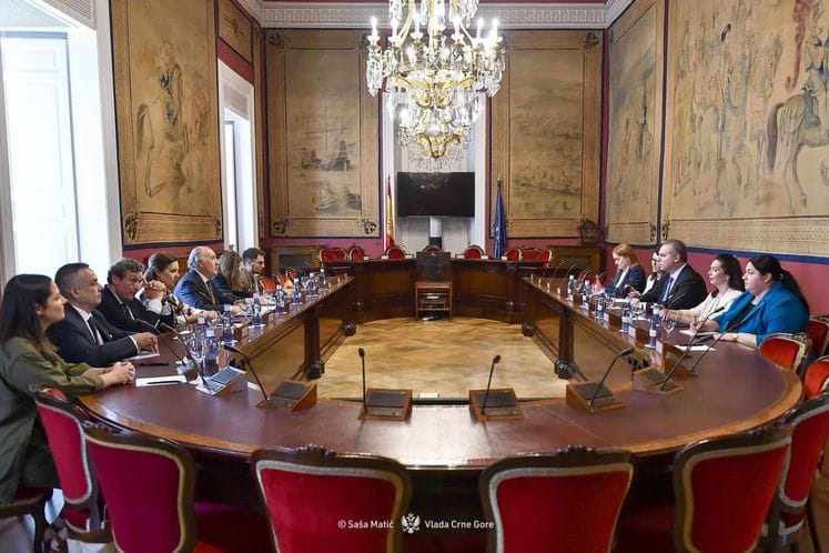 Ivanović sa predsjednikom i članovima Odbora za vanjske poslove Senata Španije