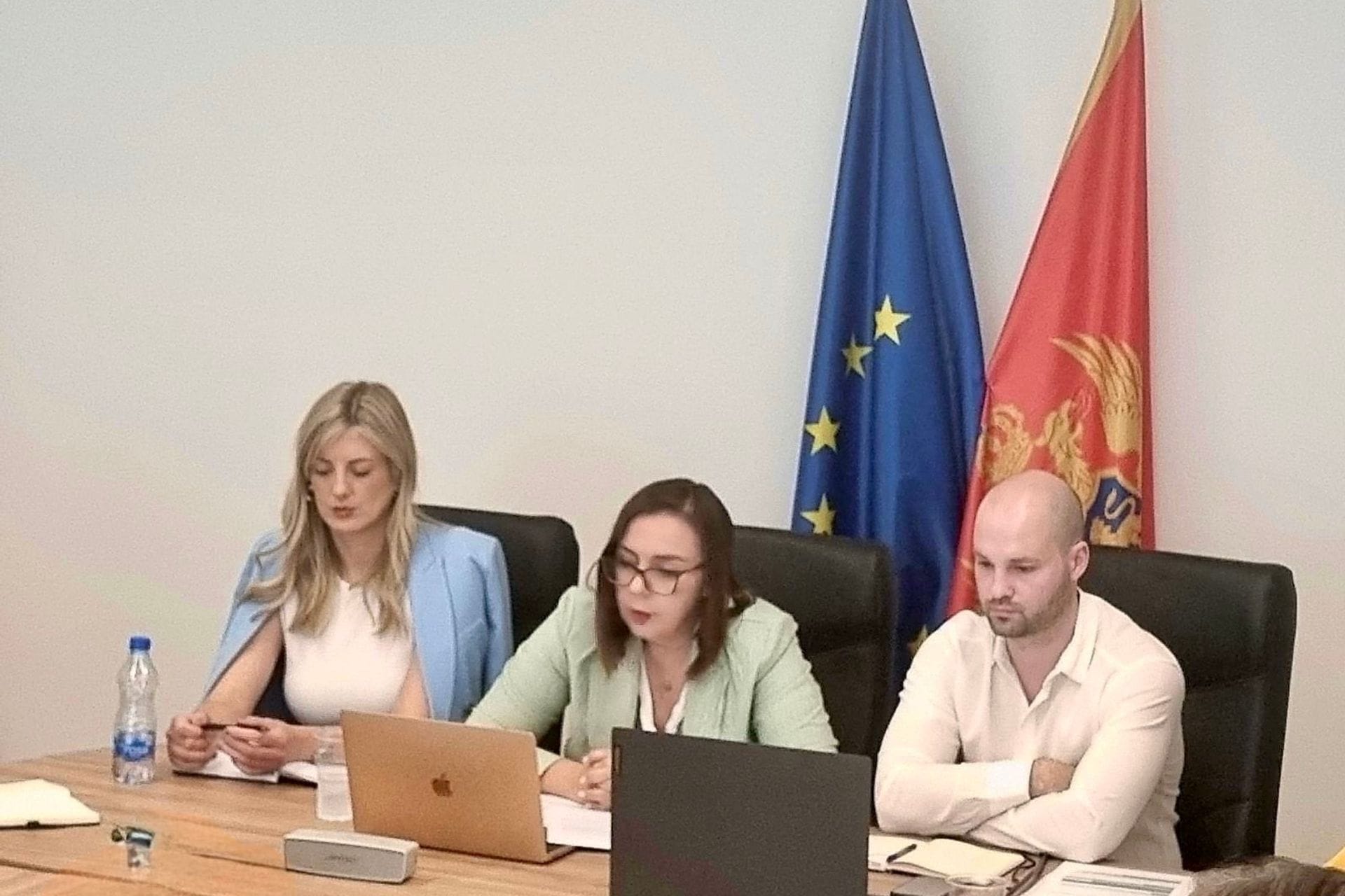 Održan online sastanak o Poglavlju 19