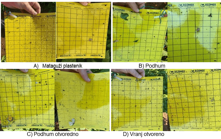 gallery.media[0].alt