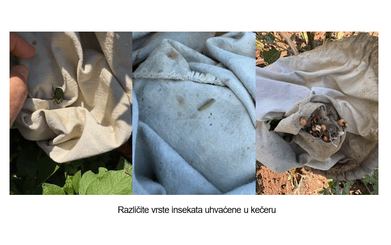 gallery.media[0].alt