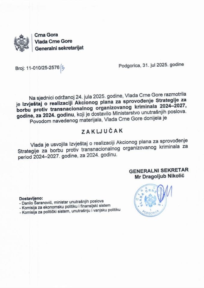 Извјештај о реализацији Акционог плана за спровођење Стратегије за борбу против транснационалног организованог криминала за период 2024-2027. године, за 2024. годину - Закључци