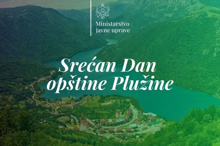 Плужине