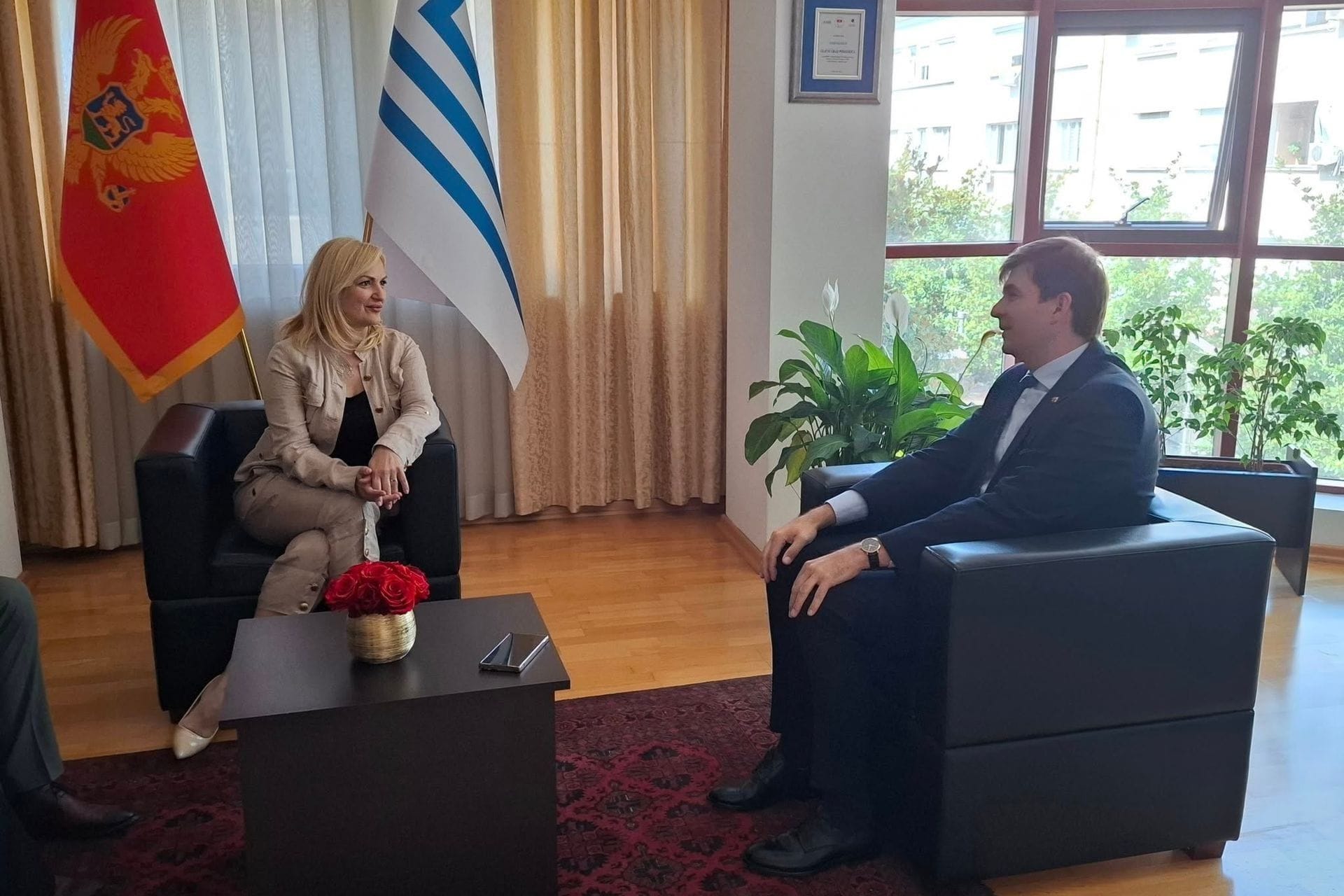 Azemović se susreo sa Borovinić Bojović: Digitalizacijom i institucionalnom saradnjom do jače veze sa dijasporom