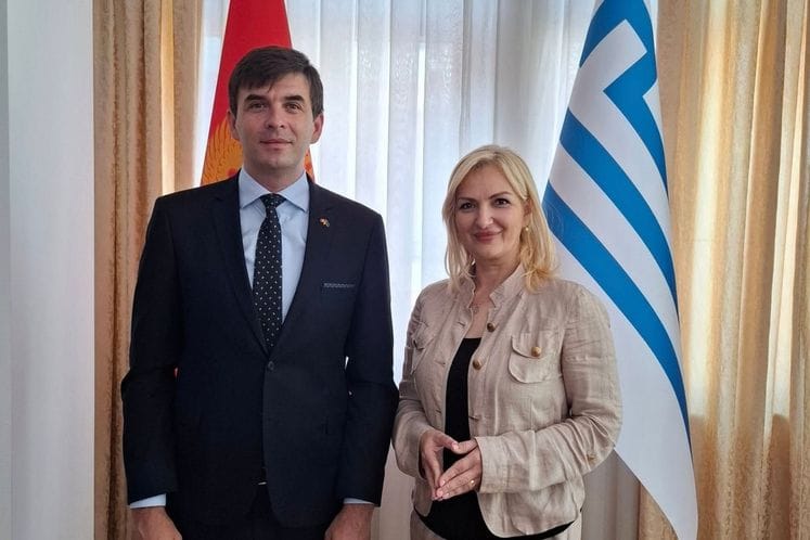 Azemović se susreo sa Borovinić Bojović: Digitalizacijom i institucionalnom saradnjom do jače veze sa dijasporom