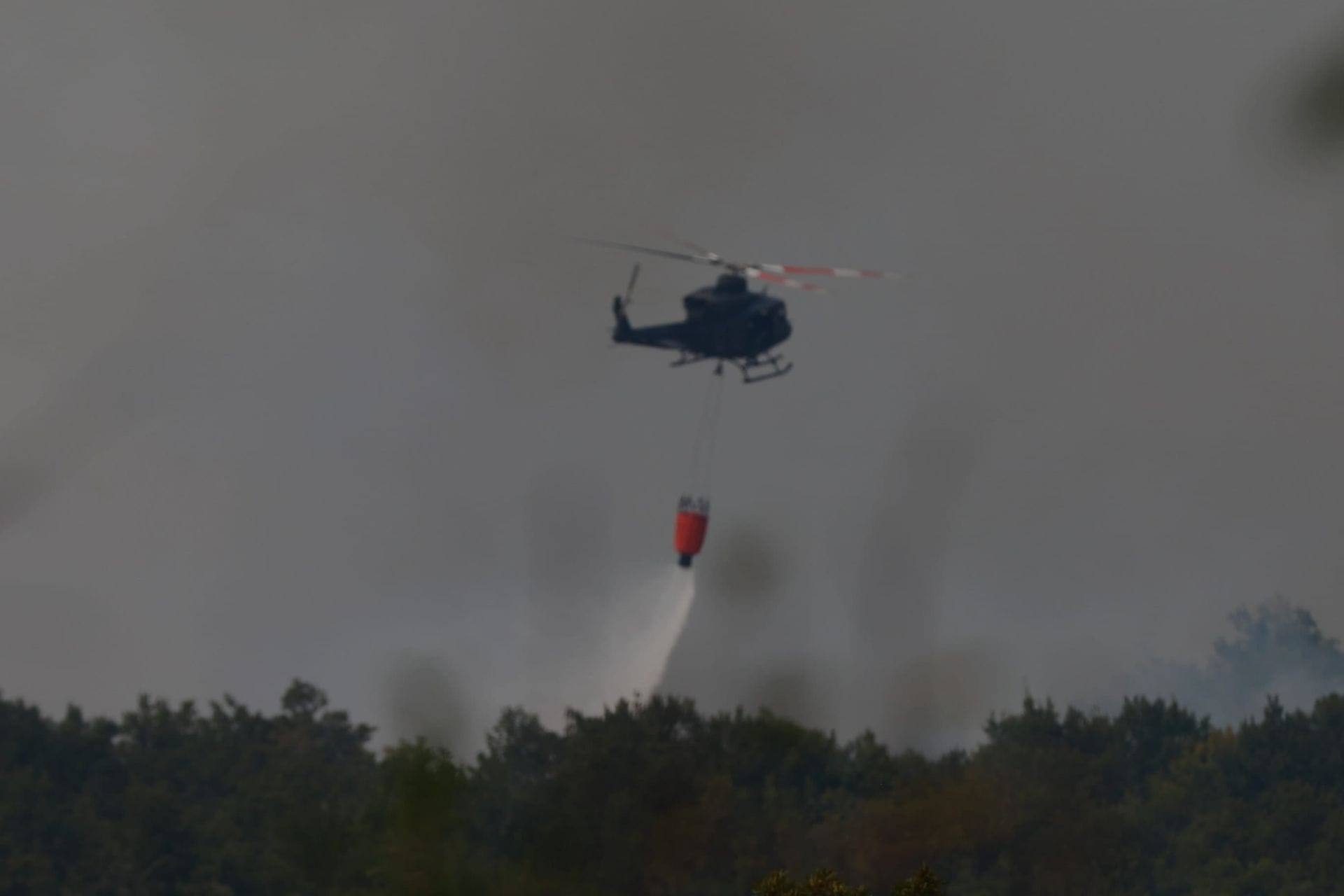 gallery.media[0].alt