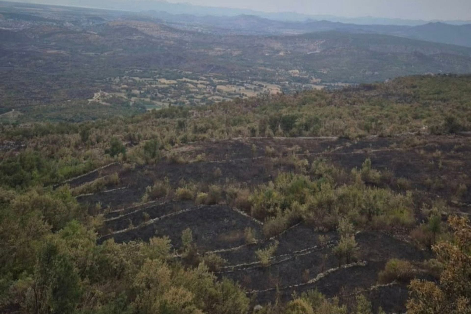 Obilazak Pipera posle požara