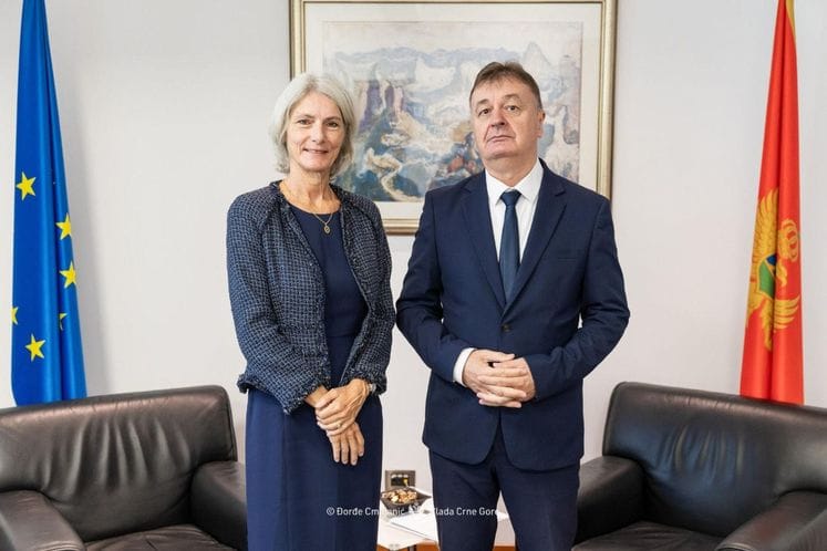 Potpredsjednik Vlade Crne Gore dr Budimir Aleksić primio rezidentnu koordinatorku UN u Crnoj Gori Karolin Tiso Baranzini