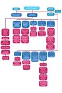 Organogram - Ministarstvo prosvjete, nauke i inovacija