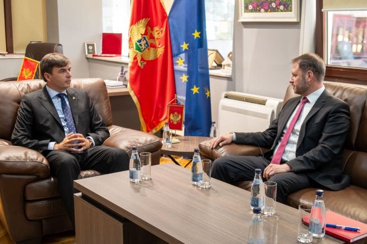 Ministar Azemović razgovarao sa Sagartzom: Jačanje saradnje Crne Gore i EU kroz dijasporu i nove investicije