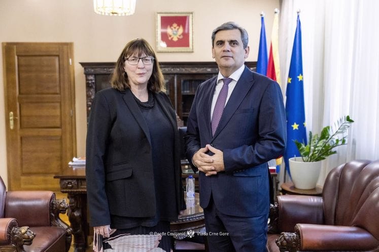 DPM Ibrahimović meets with Ambassador McKen