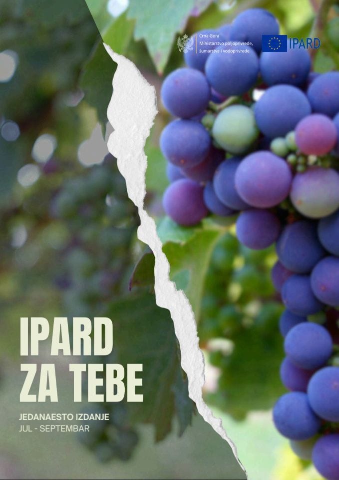 11. izdanje_bilten ipard za tebe