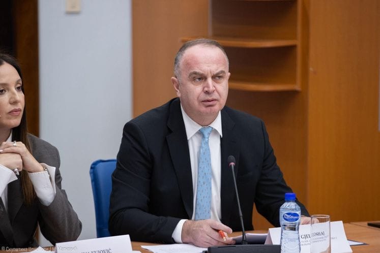 ministar ekonomskog razvoja, g. Nik Gjeloshaj, na 83. sjednici Odbora za ekonomiju, finansije i budžet