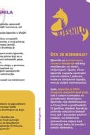 Simptomi bjesnila, kako se prenosi i mjere prevencije (flajer)