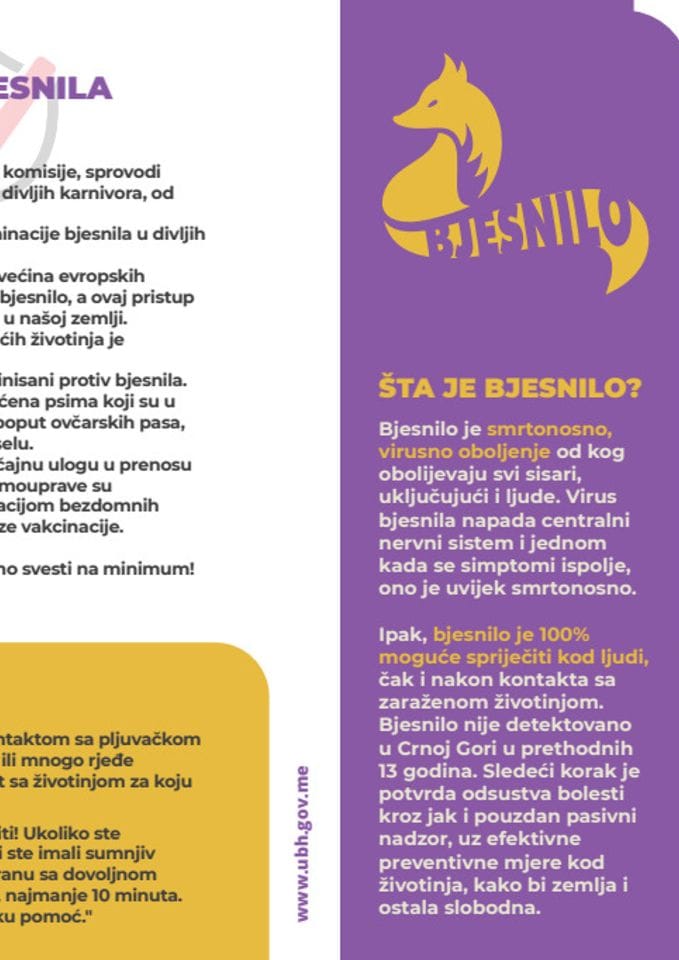 Simptomi bjesnila, kako se prenosi i mjere prevencije (flajer)