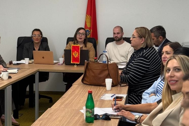 Održana sjednica Radne grupe za poglavlje 19 – Socijalna politika i zapošljavanje