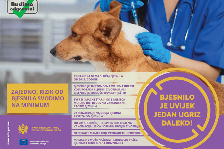 Uprava pokrenula kampanje za podizanje svijesti o bjesnilu i afričkoj kugi svinja