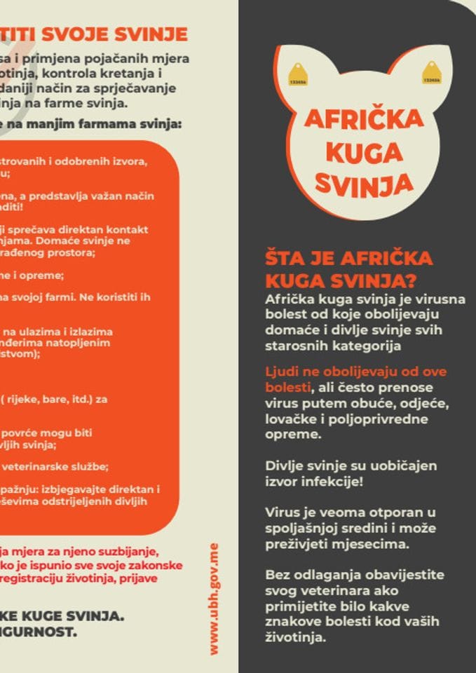 Simptomi afričke kuge svinja, kako se prenosi i mjere zaštite (flajer)