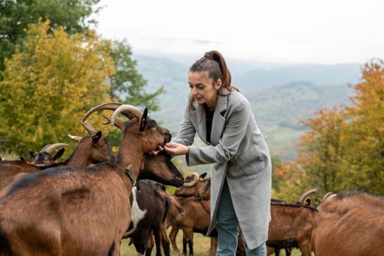 Slika Jelena Vujičić Slika Jelena Vujičić