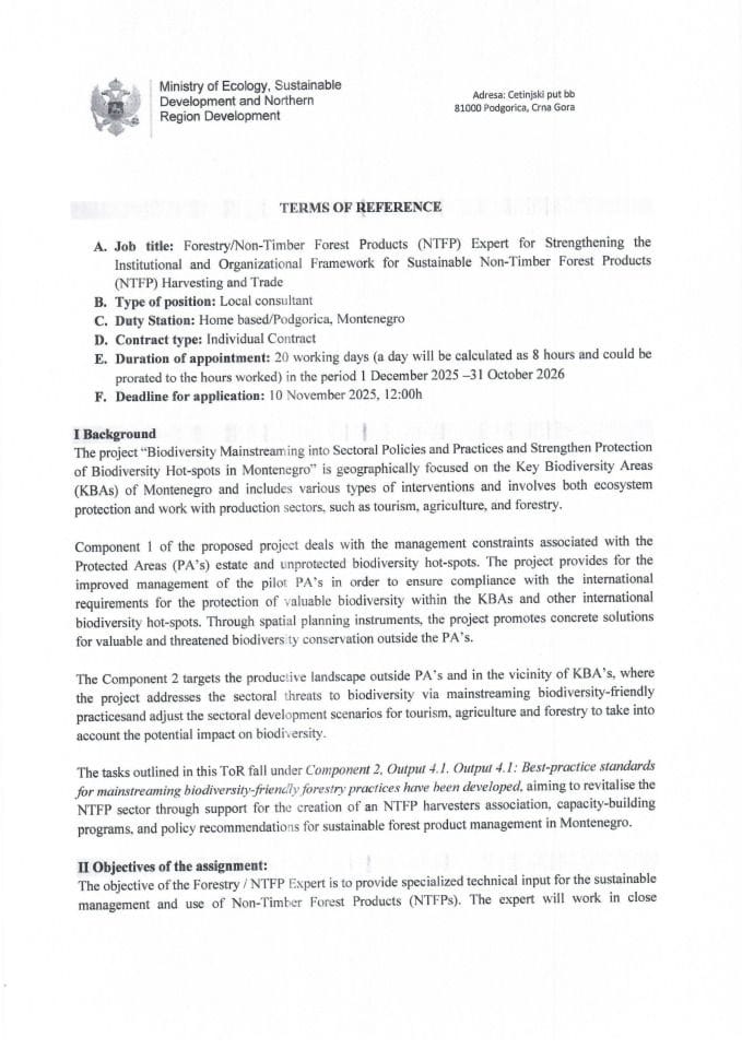 ToR NTFP Consultant