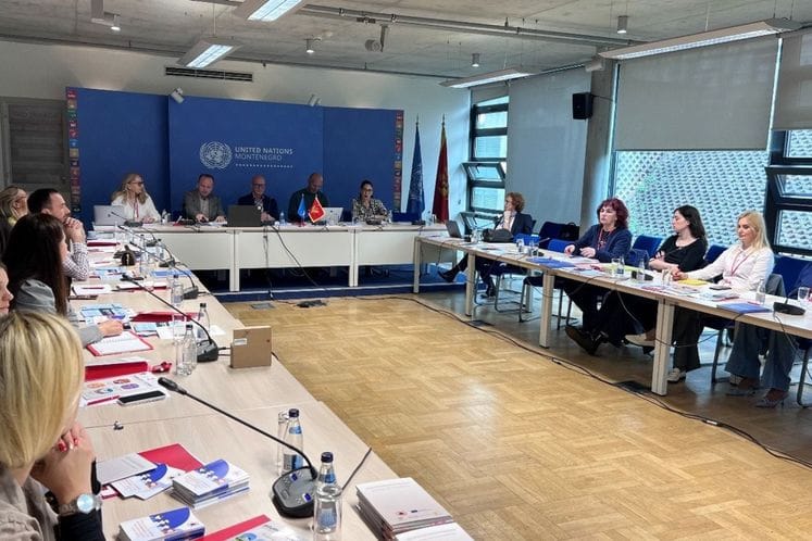 Savjetovanje sa predstavnicima NVO