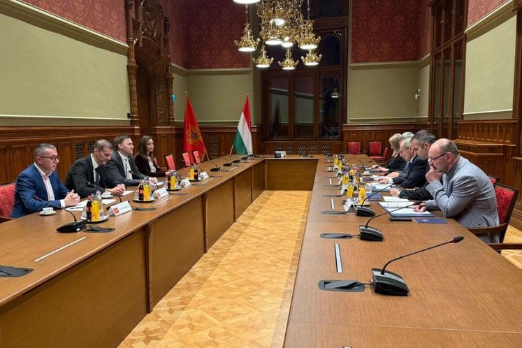 Crna Gora i Mađarska jačaju saradnju u oblasti javnog zdravlja